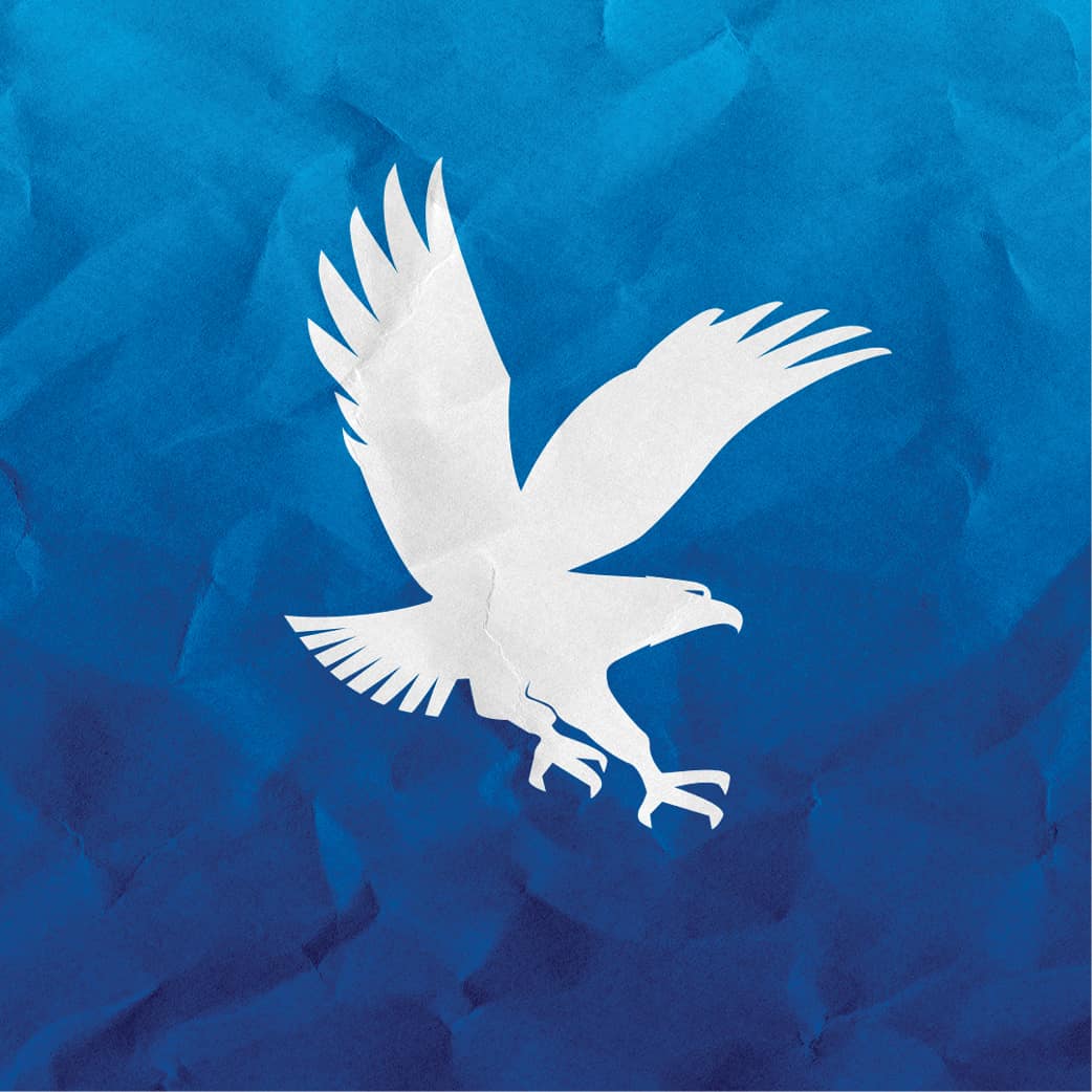 Eagle icon on blue background.