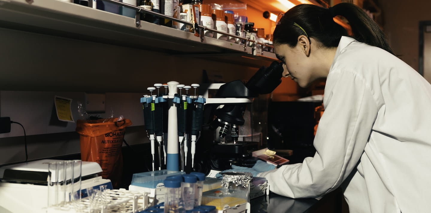 Student in a lab coat uses a compound microscope at a laboratory bench with micropipettes, sample tubes, and biohazard disposal container visible.
