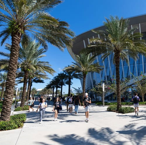 Students walking along a sunny, palm-lined campus pathway with modern buildings and outdoor seating areas.