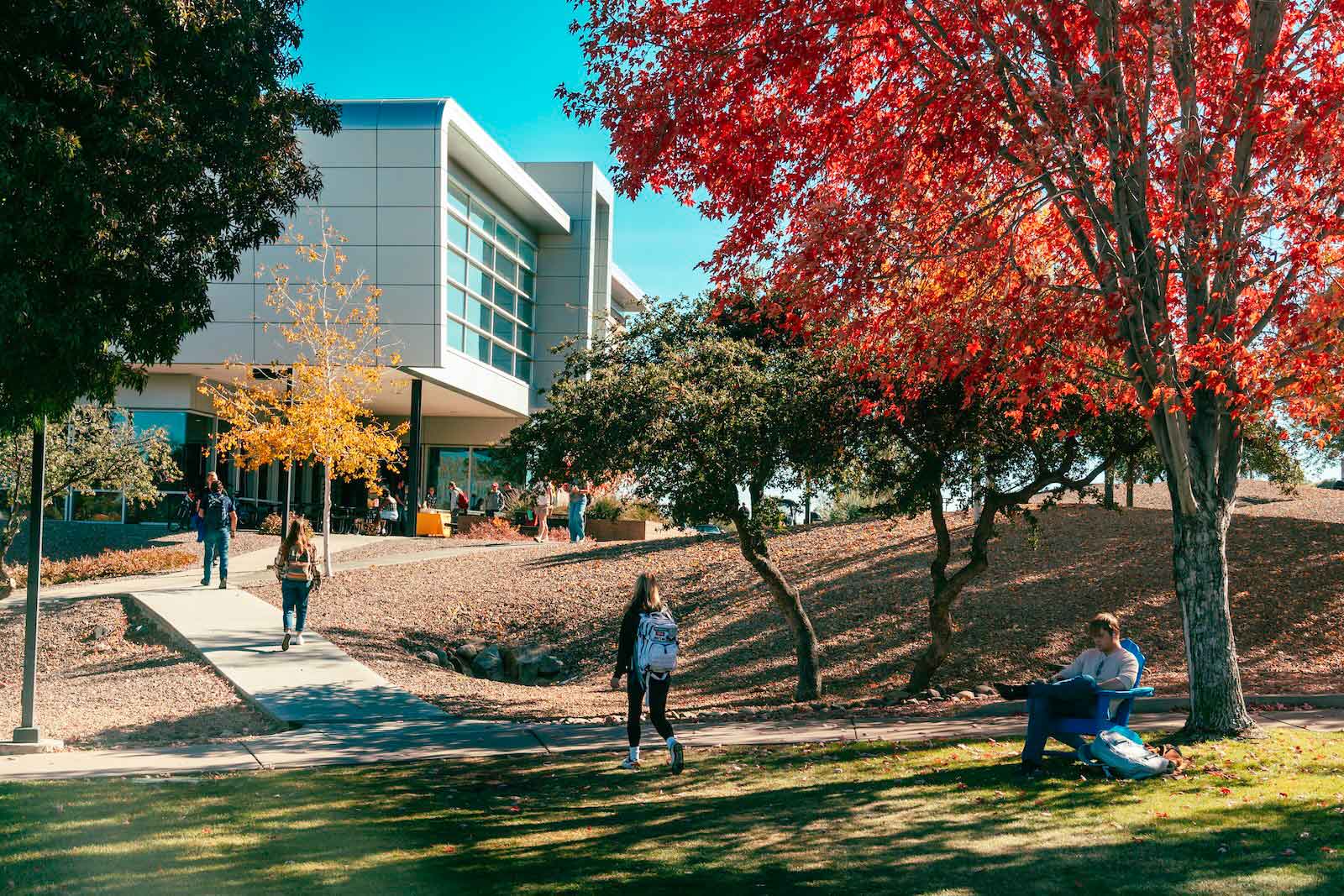 Students walk along a campus path and sit on the lawn near a modern academic building, with autumn trees in fall color.