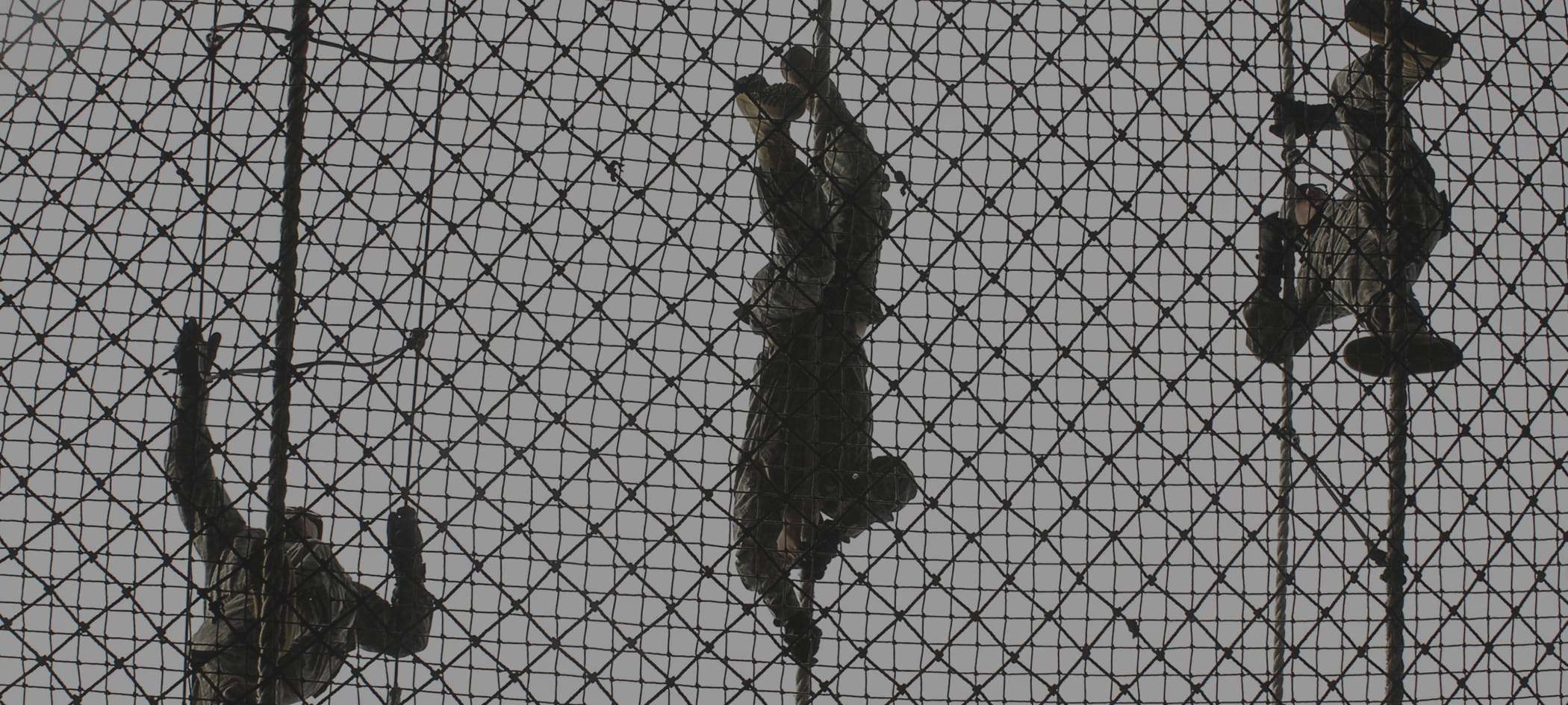 Soldiers climb rope.