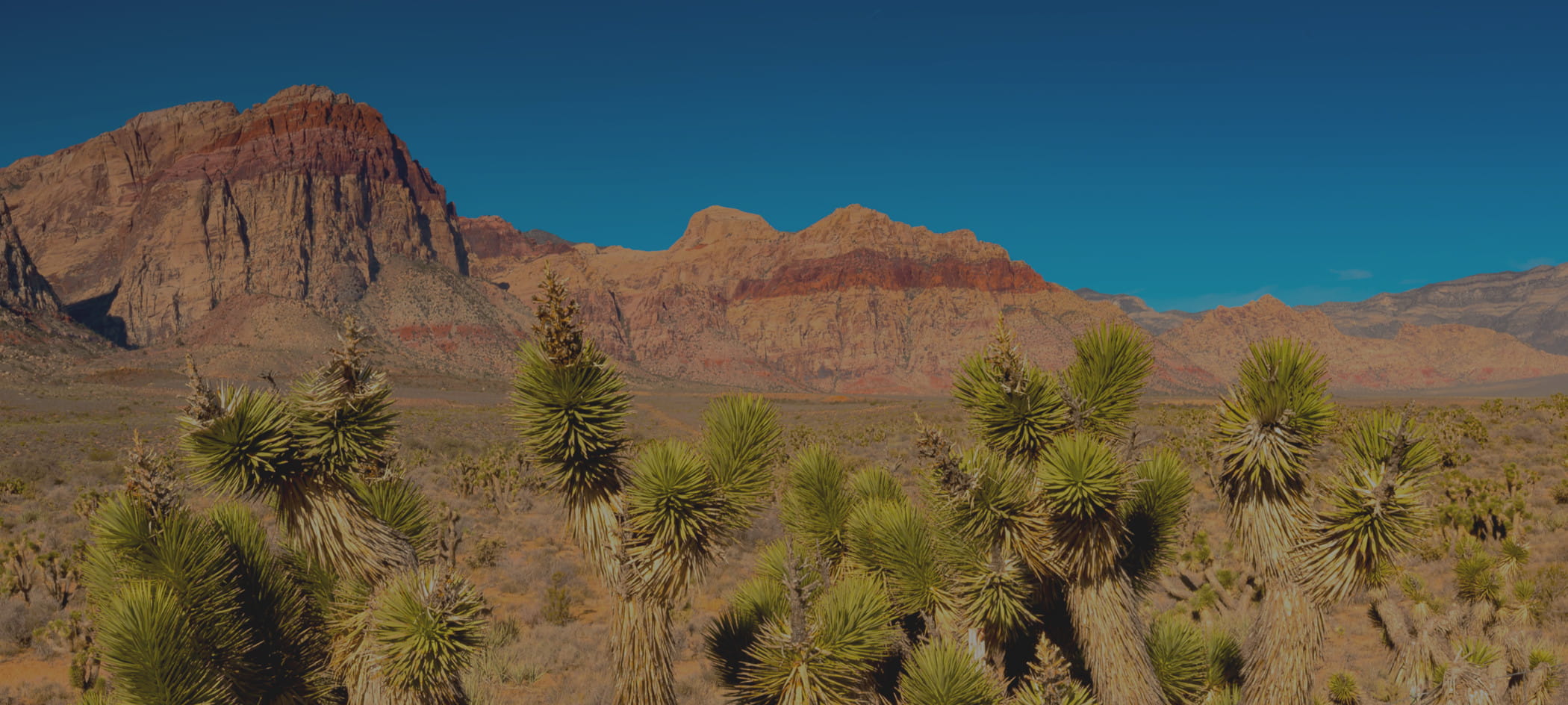 Desert mountain range.