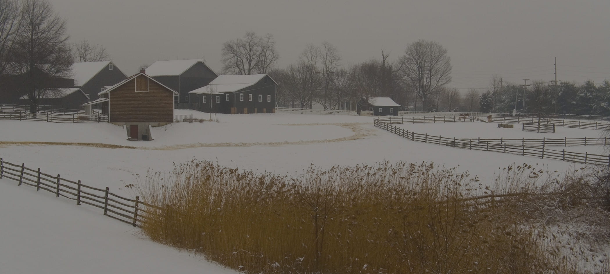 Snow-covered farm.