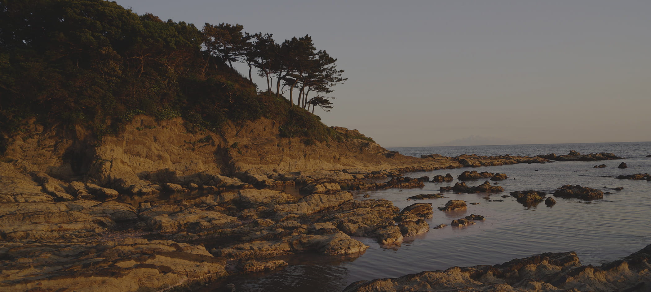 Rocky Japanse coastline.