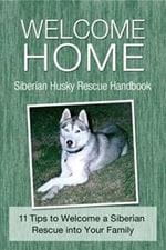 Welcome Home
