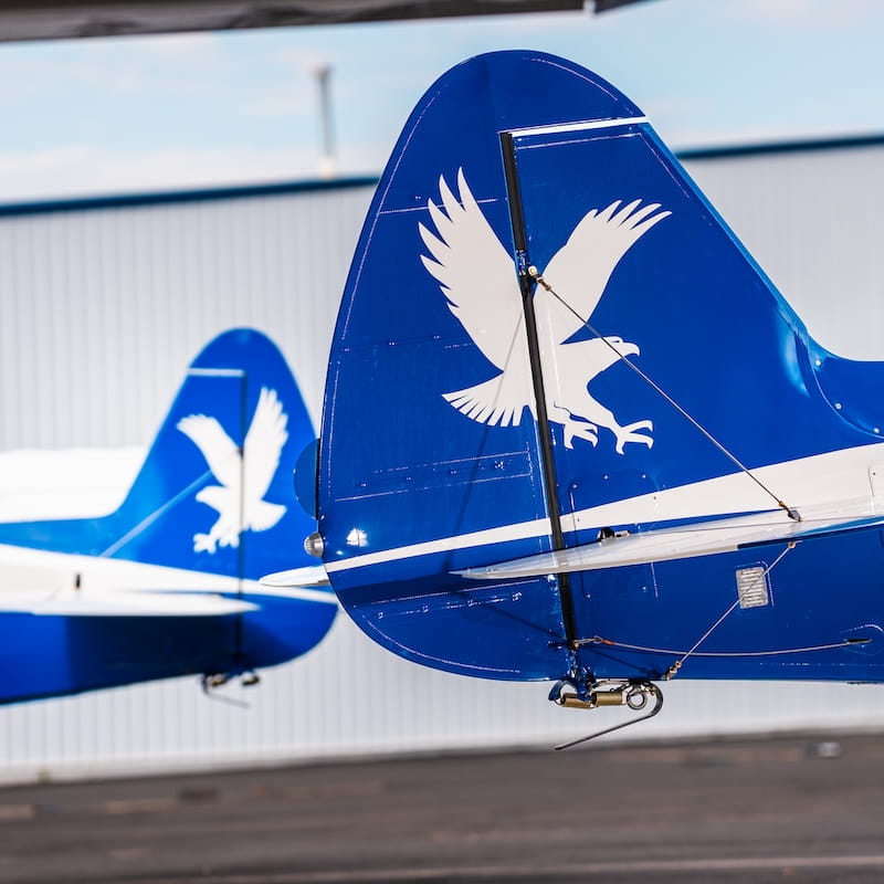 Two tail fins of an airplane with the Embry-Riddle eagle icon on them