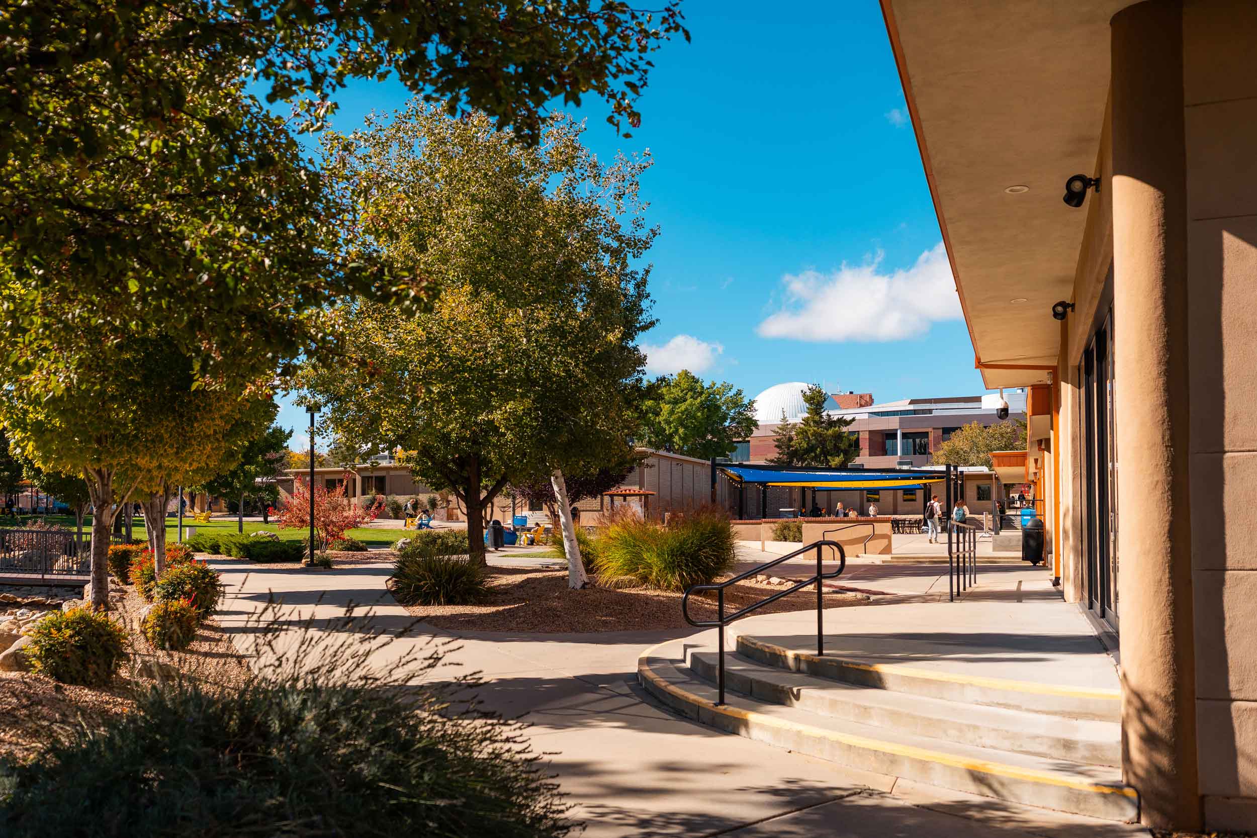 A sunny view of the Prescott campus featuring trees and campus buildings.