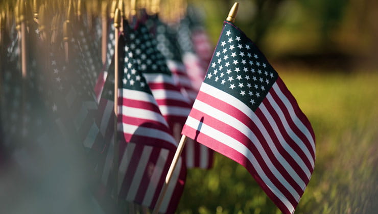 Small U.S. flags planted in the ground