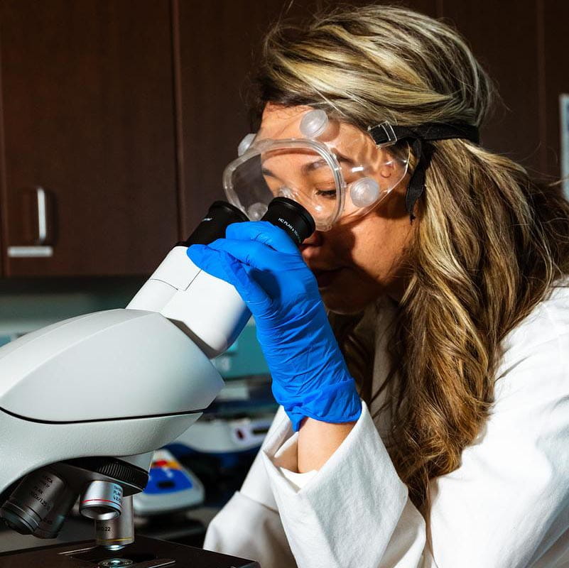 Student wearing a lab coat, safety goggles, and nitrile gloves examines a specimen through a compound microscope in a laboratory.