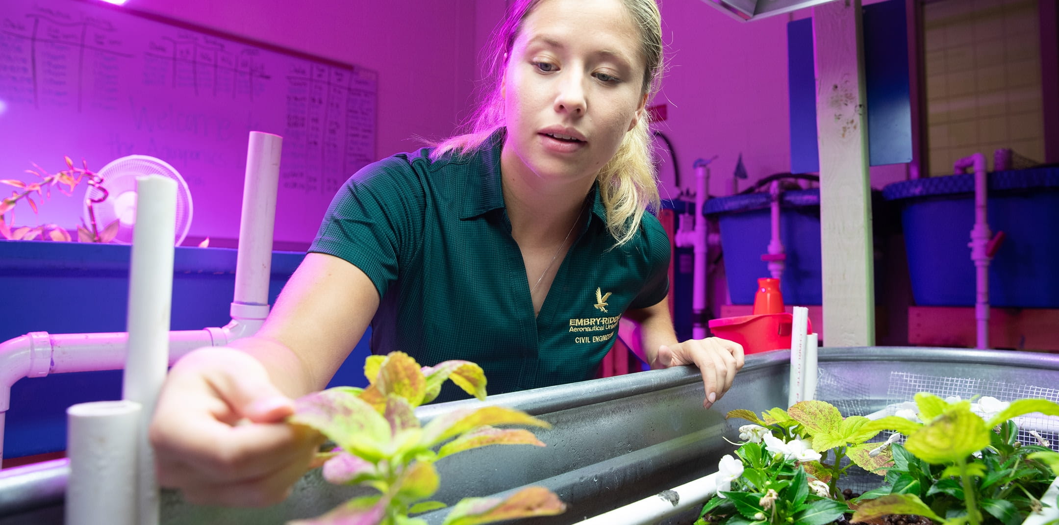 Student wearing an Embry-Riddle Civil Engineering polo inspects leafy plants in a hydroponics or controlled-environment lab with grow lights and water tanks.