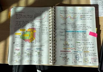Student and artist Belle Memeo's illustrated class notes