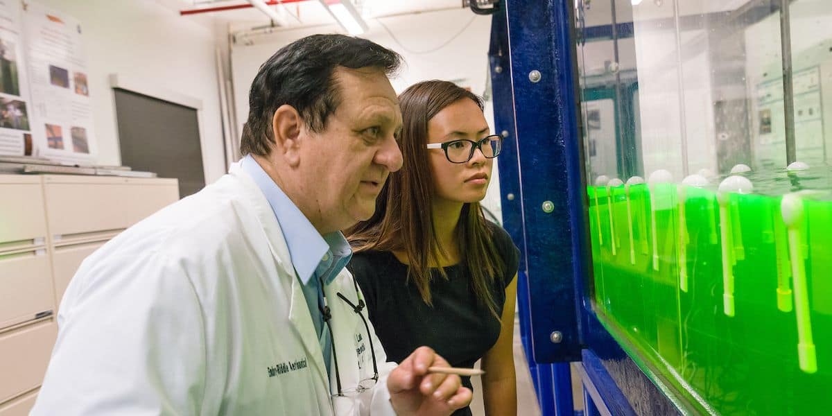 Students review lab results alongside expert faculty in our Nonlinear Waves laboratory.