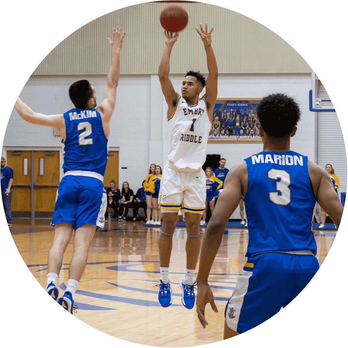 ERAU basketball