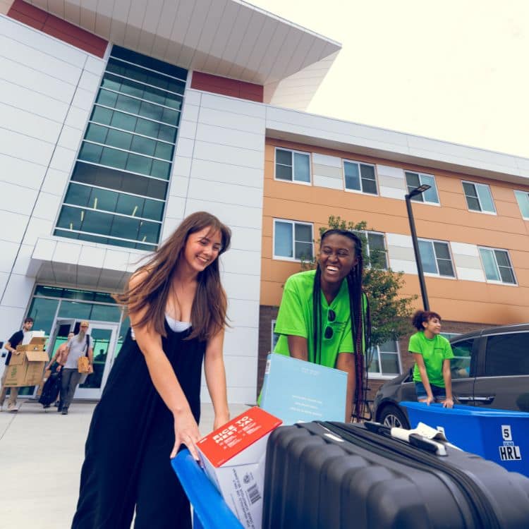 move in day