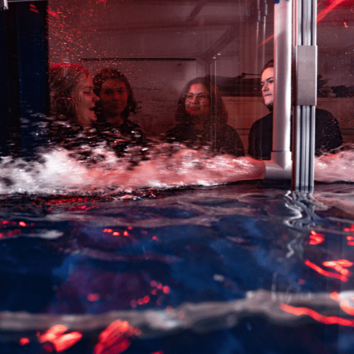 Nonlinear waves laboratory