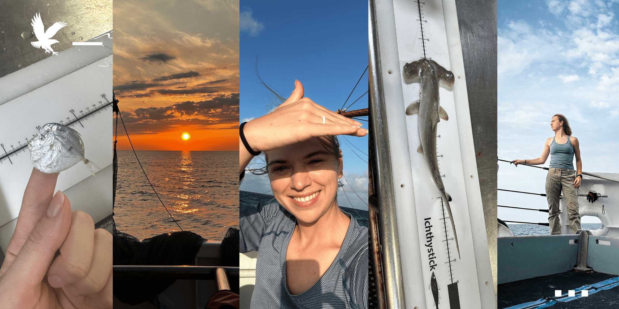 Photo collage of Amy Martin from her NOAA internship