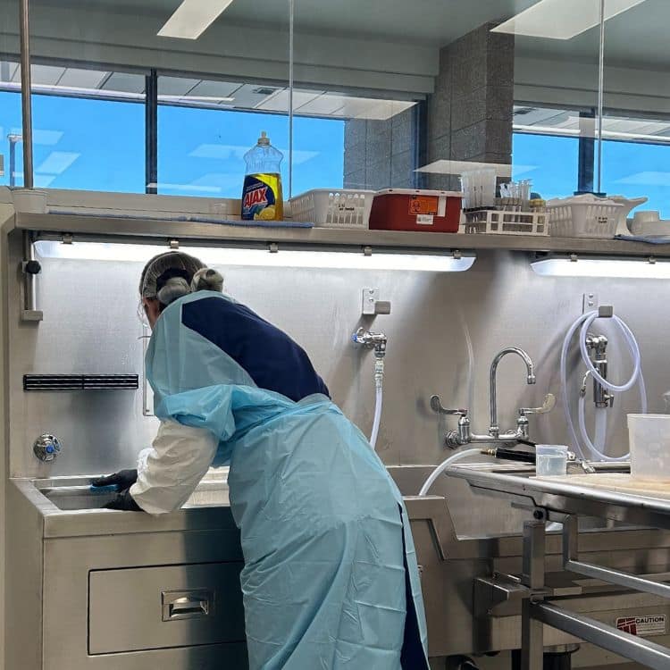 Performing the daily cleaning of the autopsy suite after exams conclude. (Photo: Olivia Robbins) 