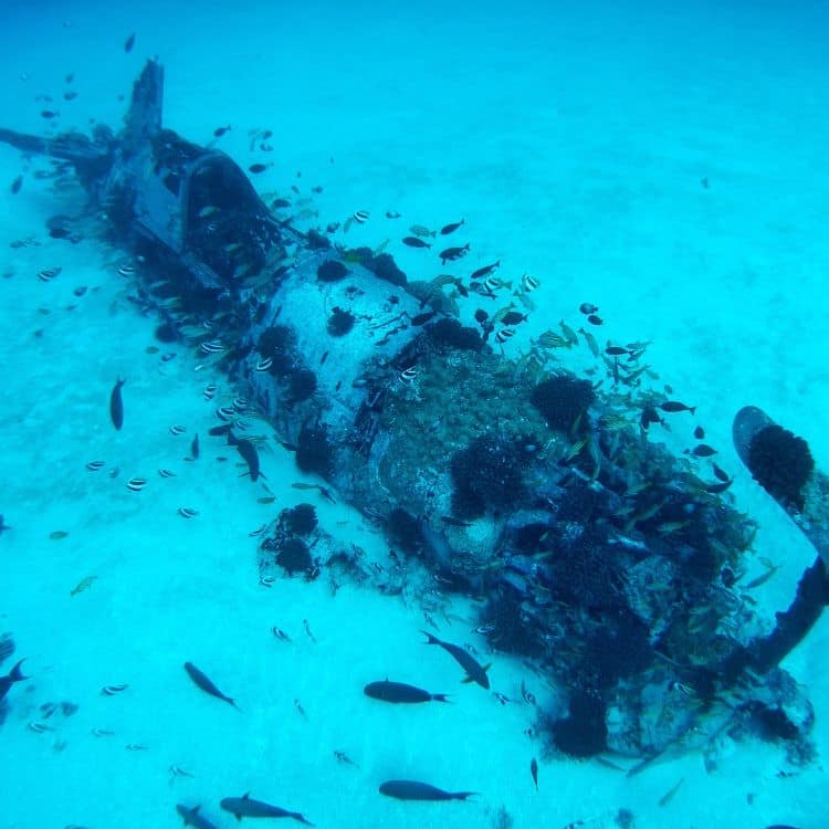 The F4U Corsair is recorded subsurface by Embry‑Riddle's UMS. (Photo: Joseph Cerreta)