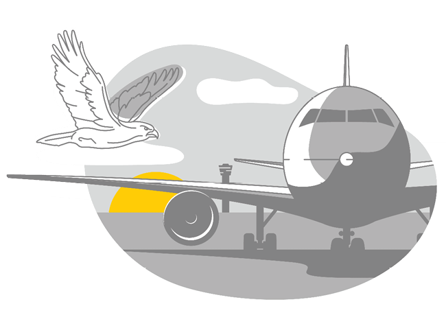 Airplane illustration