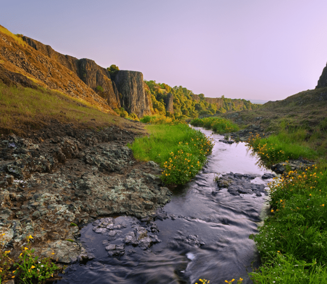 A creek in the mountains