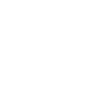 Checklist icon