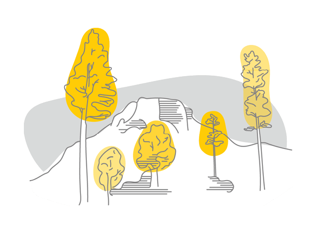 An illustration of trees on a mountain