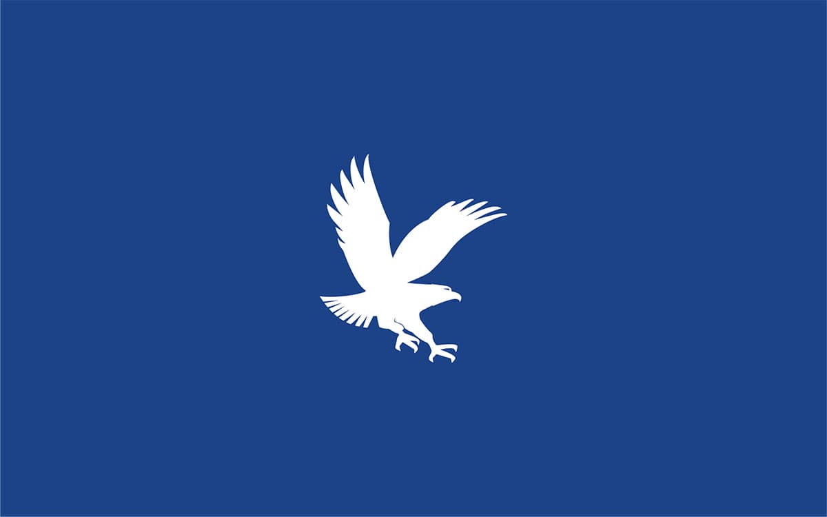 Embry-Riddle Blue Eagle Logo.