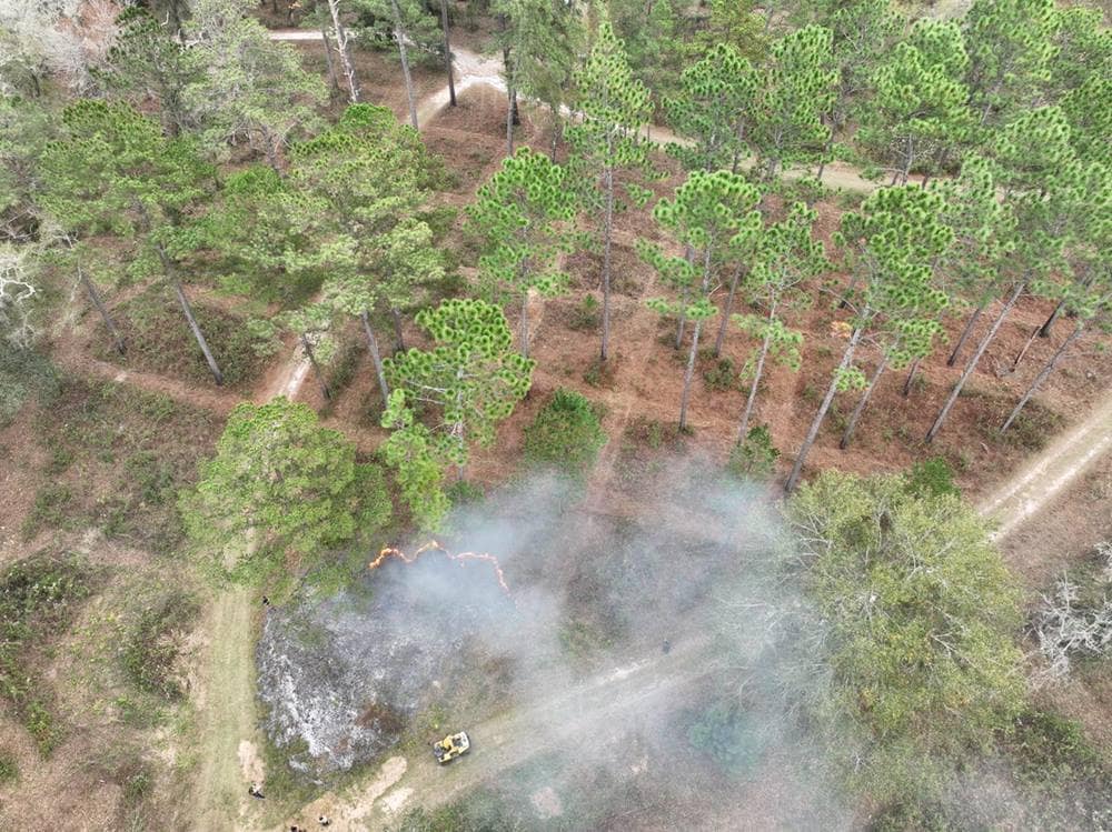View of forest fire from above.