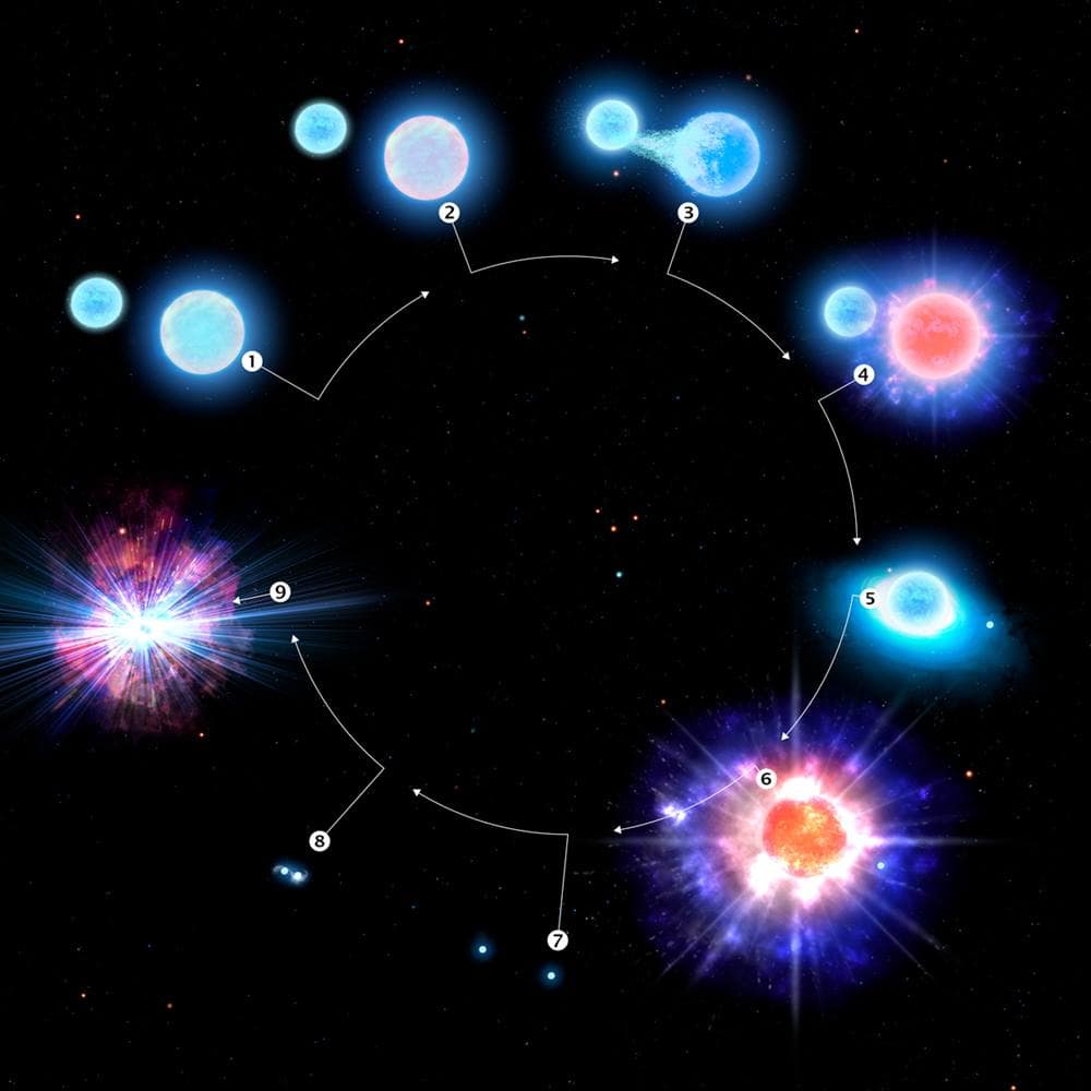 Different types and phases of star lifecycle.
