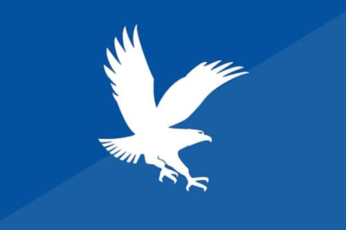 White eagle mascot logo on a field with two halves of slightly different blues.