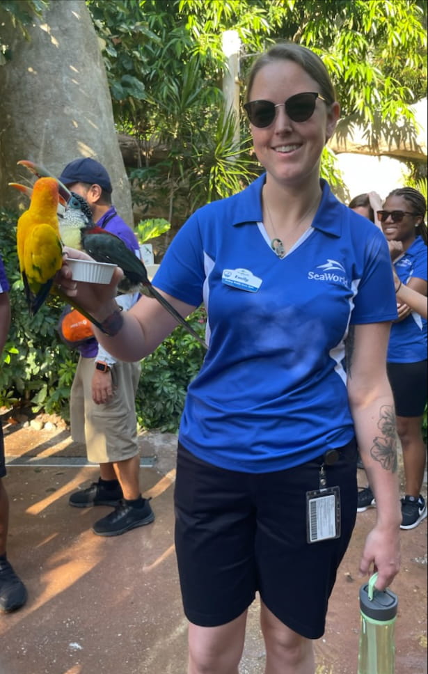 Emily Junkin, in a SeaWorld uniform, poses holding a feeding cup with a colorful parrot and a toucan perched on hand in outdoor exhibit.