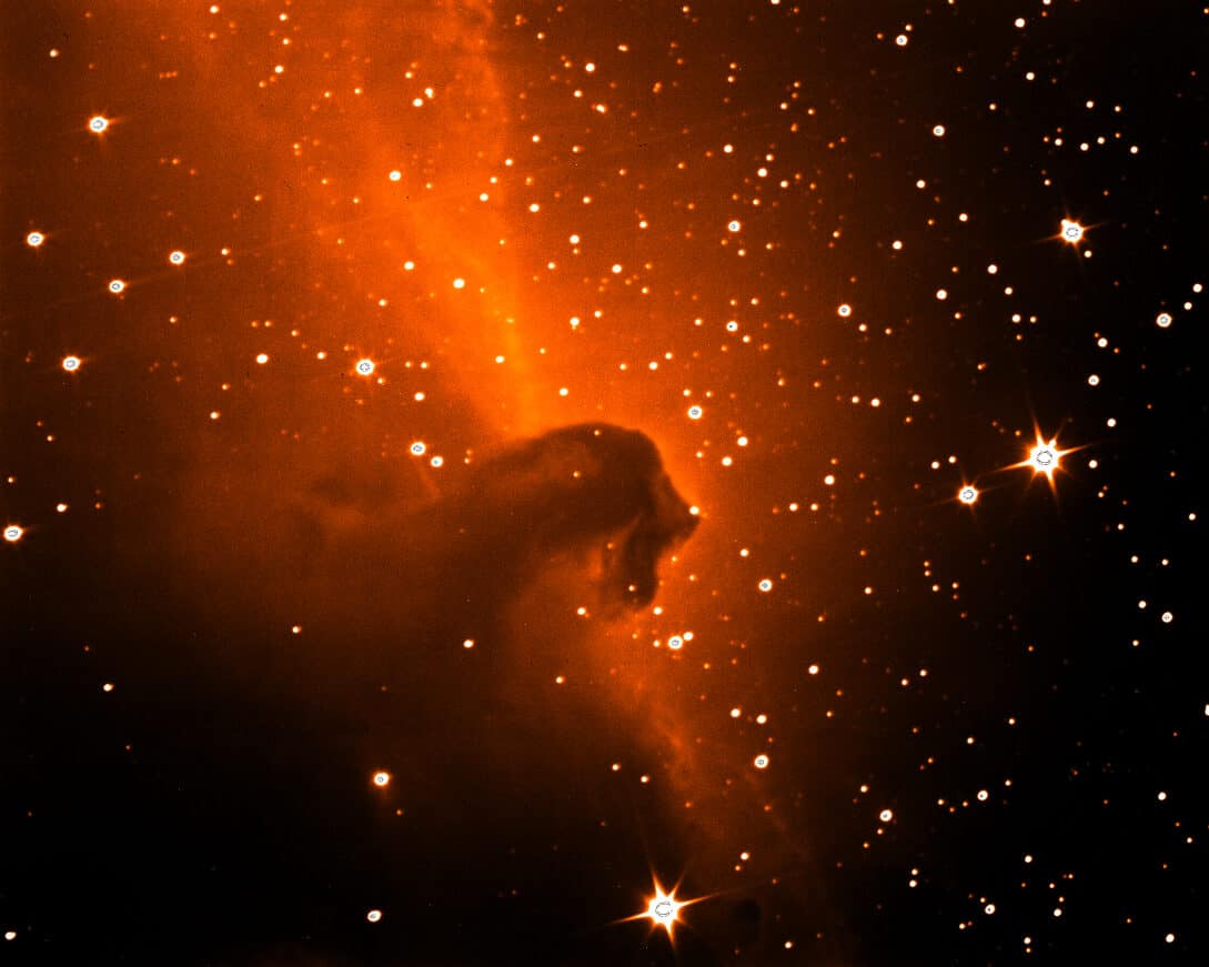 The new 20-inch telescope on Embry‑Riddle's Prescott Campus recently captured an image of the Horsehead Nebula. Lit up by a belt star of Orion, the dark cloud resembling a horse's head is a place where stars are forming. Color was artificially added for contrast. (Photo: Noel Richardson)