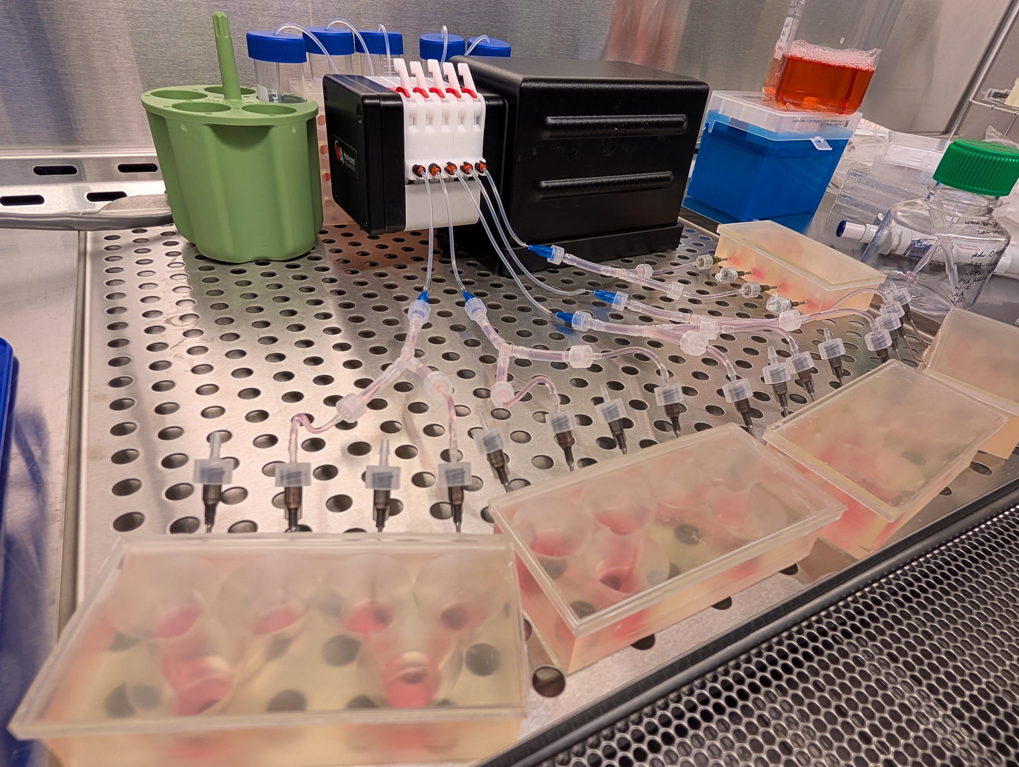 Multi-organ systems — the five clear devices — are hooked up to a fluidic pump.