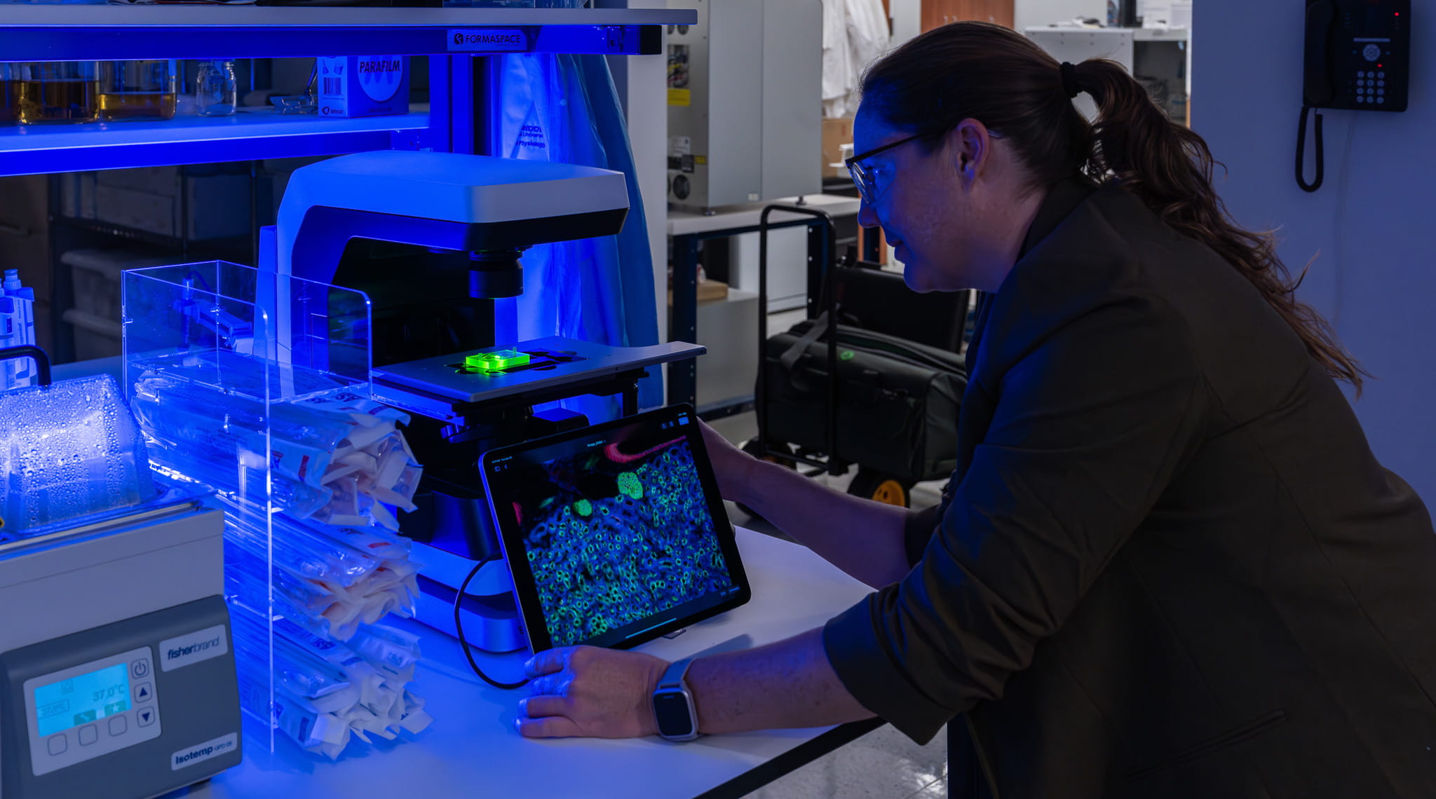 Multi-organ systems — the five clear devices — are hooked up to a fluidic pump.