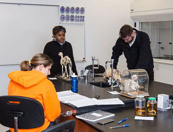 Students in the Biology and Organic Chemistry Lab