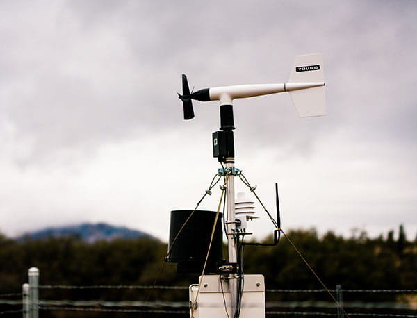 The Weather Station