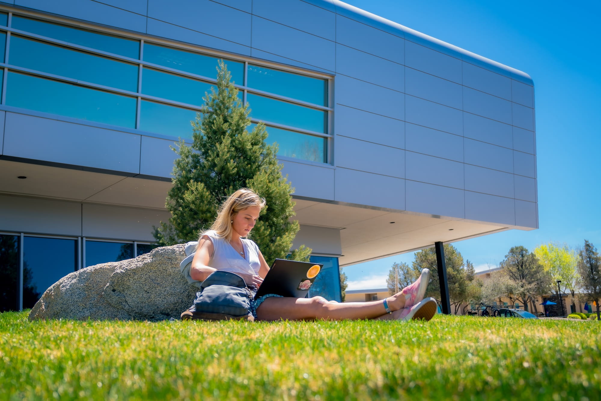 Student sitting on the ground leaning on a rock and looking at a laptop on a sunny day.