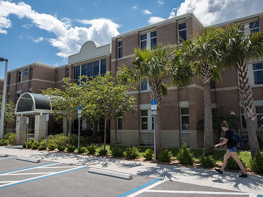 Exterior of Doolittle Hall with a student walking down a palm tree-lined path