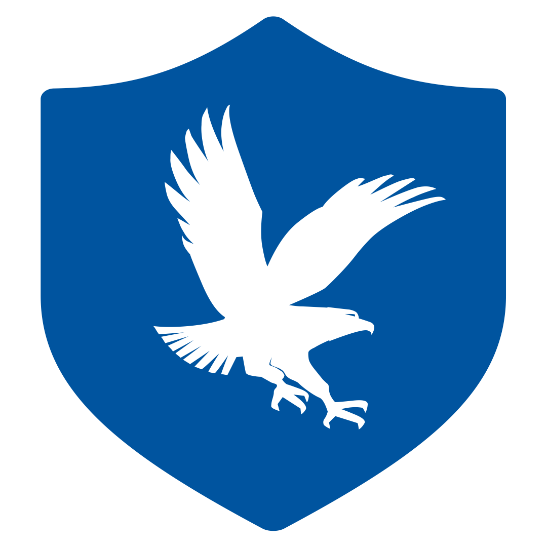 Shield logo for IT Security Services
