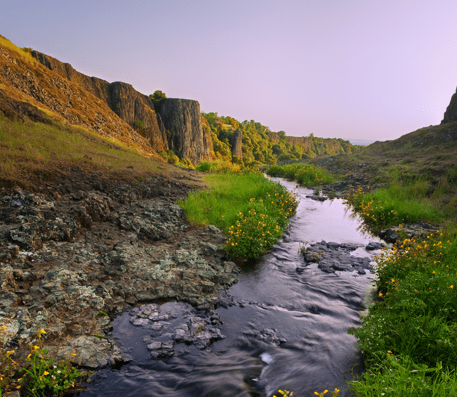 Small stream running through a flower-filled valley with small rocky cliffs rising in the background before a lavender sky.