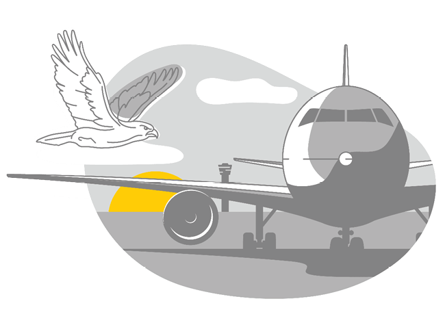 Flat illustration of an eagle flying near a jet.