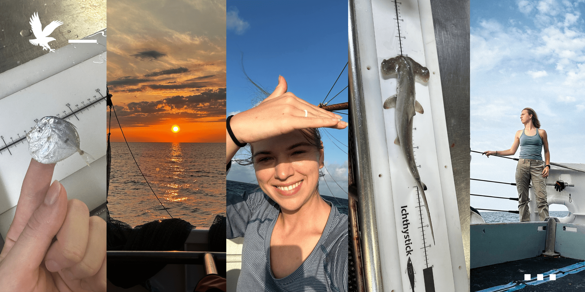 Photo collage of Amy Martin from her NOAA internship