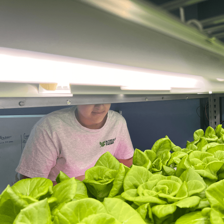 Embry-Riddle student Emma Costa interns with Acreage Farms, a company exploring agricultural ingenuity. This start-up’s work could one day help settlers on Mars grow food despite limited water, low temperatures and reduced atmospheric pressure.