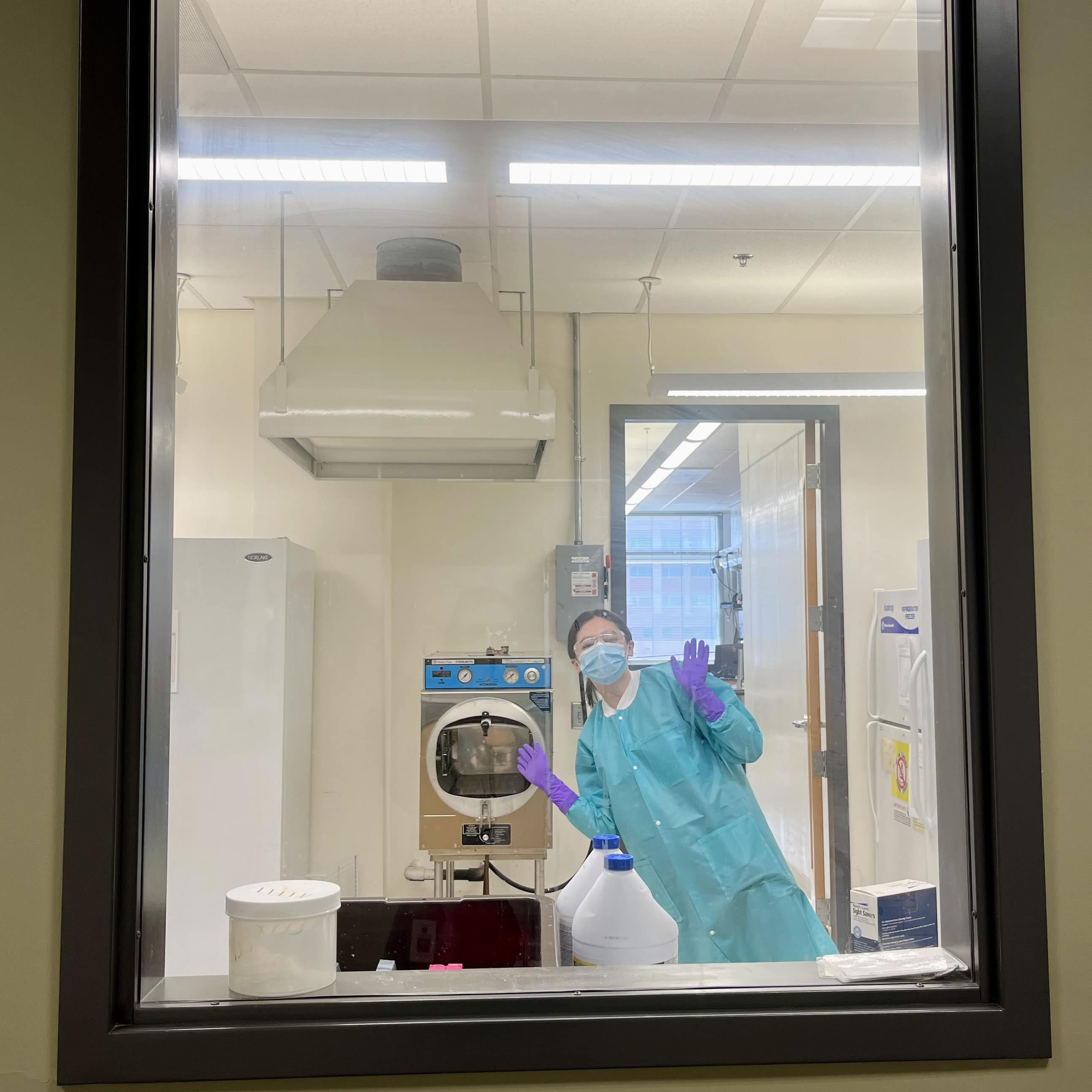 Gabby, hard at work in the lab