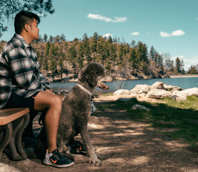 Prince, wearing a flannel shirt and shorts, sits on a bench with a grey standard poodle by his feet, both of them looking out over a river and a hillside of pine trees beyond.