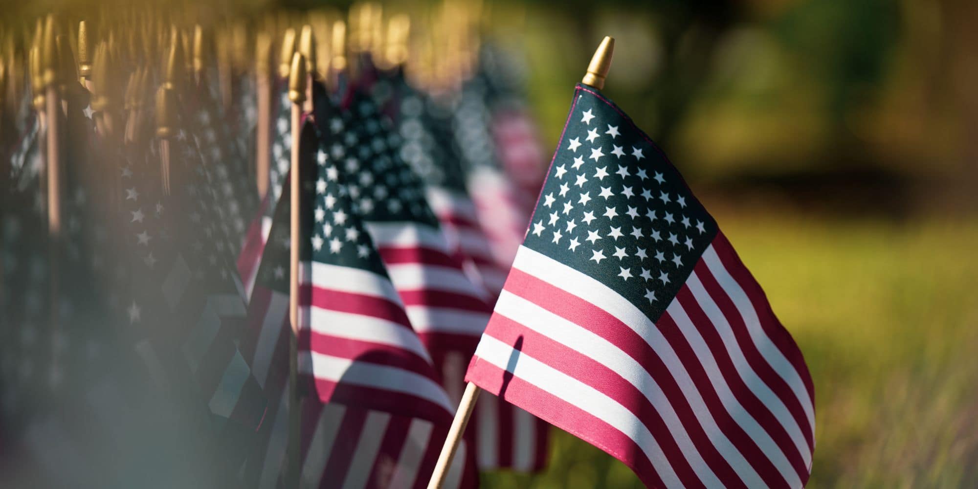 A bunch of American flags in the ground