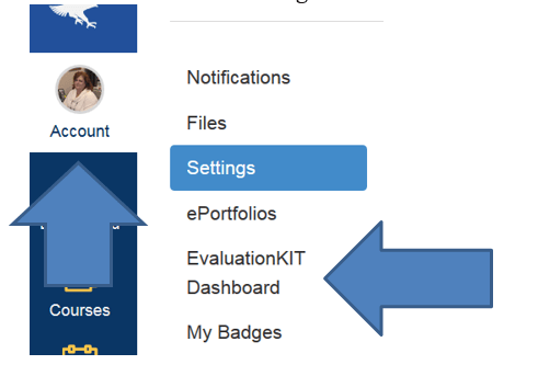 Visual guide on access EvaluationKit in Canvas