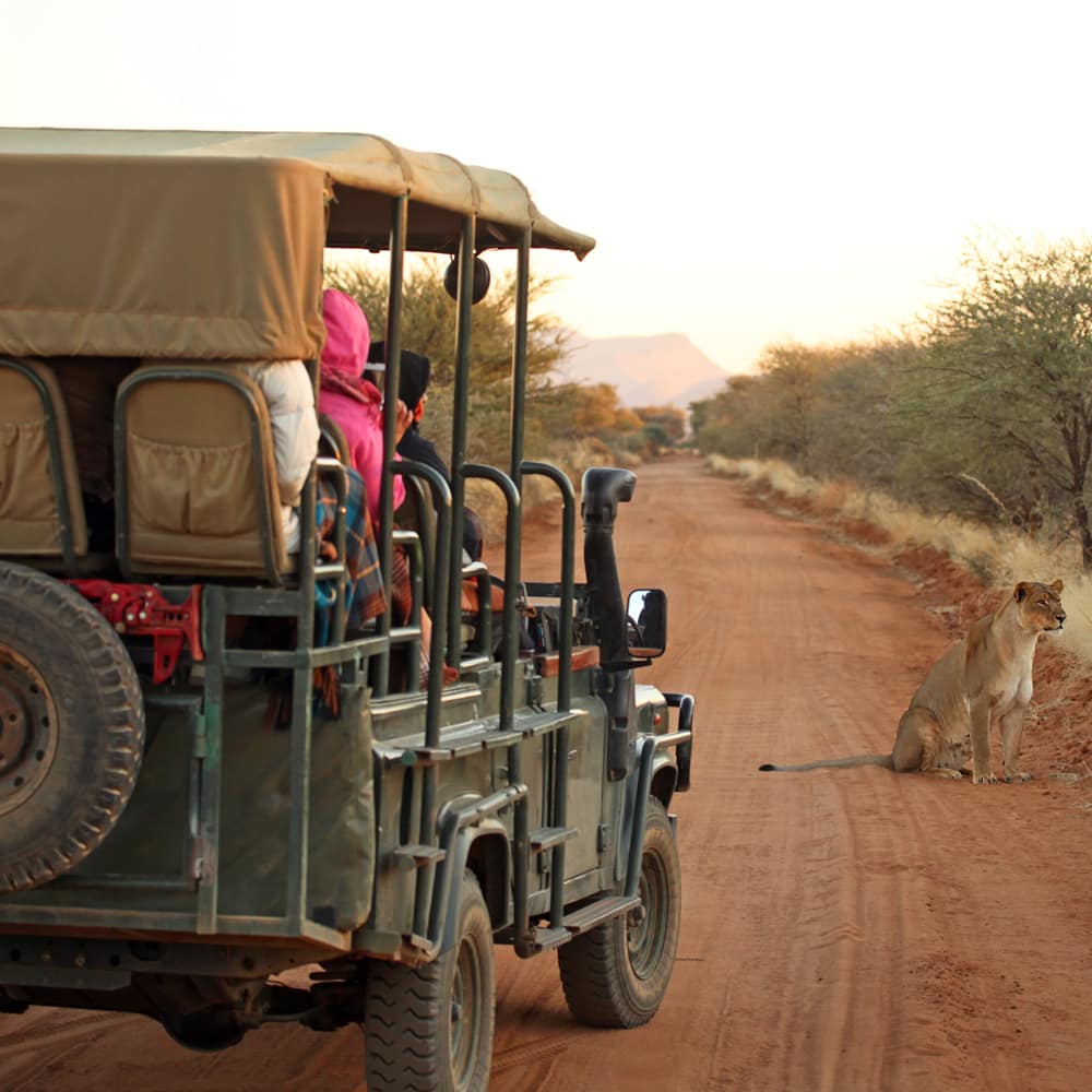 Vehicle on an African safari.