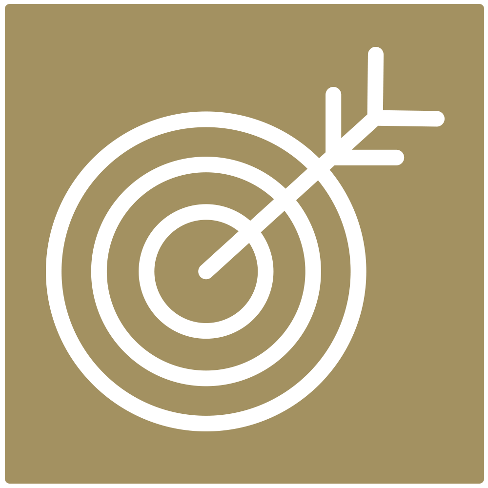 target with an arrow